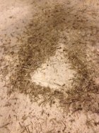 771045.jpeg 771045.jpeg