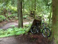 771046.jpeg 771046.jpeg