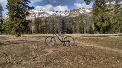 771159.jpeg 771159.jpeg