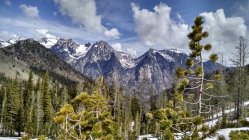 771163.jpeg 771163.jpeg