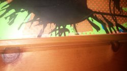 775888.jpeg 775888.jpeg