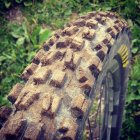 776877.jpeg 776877.jpeg