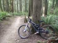 777843.jpeg 777843.jpeg