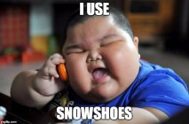 782499.jpeg 782499.jpeg