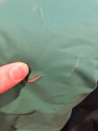 785130.jpeg 785130.jpeg