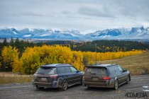 785990.jpeg 785990.jpeg