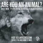 788869.jpeg 788869.jpeg