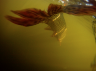 789039.png 789039.png