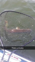 789042.jpeg 789042.jpeg