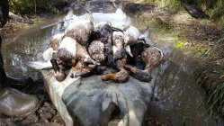 789043.jpeg 789043.jpeg