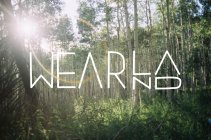 789860.jpeg 789860.jpeg