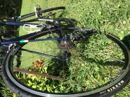 795549.jpeg 795549.jpeg