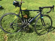 795550.jpeg 795550.jpeg