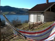 A little taste of summer 