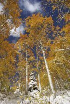 2009-2010 Year in Review PART 1 September-December 