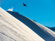 Sebi Geiger Season Edit