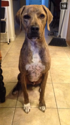 816181.png 816181.png