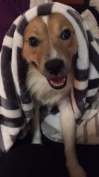 817285.jpeg 817285.jpeg