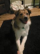 817286.jpeg 817286.jpeg