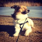 817287.jpeg 817287.jpeg