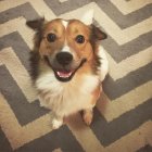 817288.jpeg 817288.jpeg