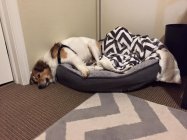 817290.jpeg 817290.jpeg