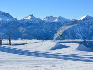 Revy Parks Rocks Steady