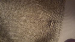 817464.jpeg 817464.jpeg