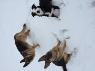 817470.jpeg 817470.jpeg