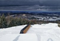 817517.jpeg 817517.jpeg