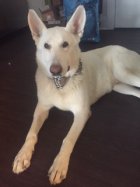 817525.jpeg 817525.jpeg