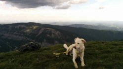 818426.jpeg 818426.jpeg