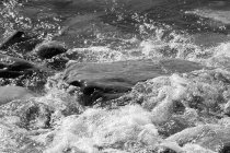 820141.jpeg 820141.jpeg