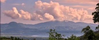 821303.jpeg 821303.jpeg