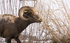 821700.jpeg 821700.jpeg