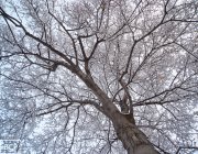 821704.jpeg 821704.jpeg