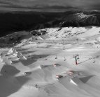 822182.jpeg 822182.jpeg