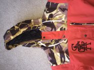 822605.jpeg 822605.jpeg