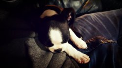 823748.jpeg 823748.jpeg