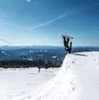 824018.gif 824018.gif