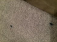 824226.jpeg 824226.jpeg