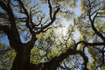 824257.jpeg 824257.jpeg