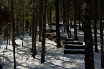 824325.jpeg 824325.jpeg