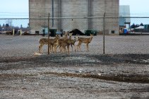 824326.jpeg 824326.jpeg