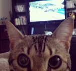 824418.jpeg 824418.jpeg