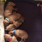 824503.jpeg 824503.jpeg