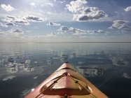 825076.jpeg 825076.jpeg