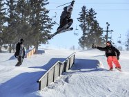 SLVSH: Keeping Skiing Free