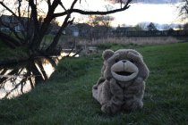 826032.jpeg 826032.jpeg