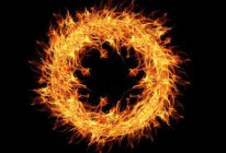 827902.jpeg 827902.jpeg